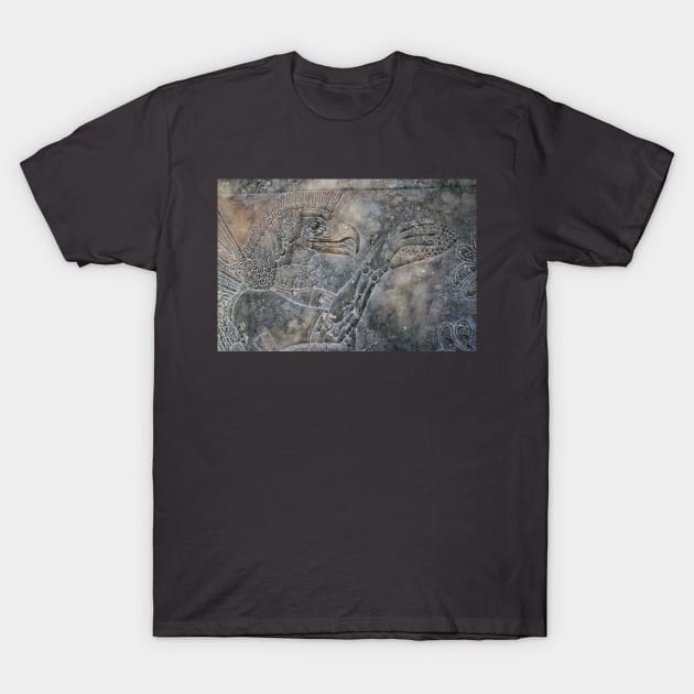 The Anunnaki T-Shirt by Rob Johnson Photography